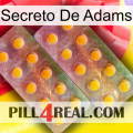 Adams Secret new10